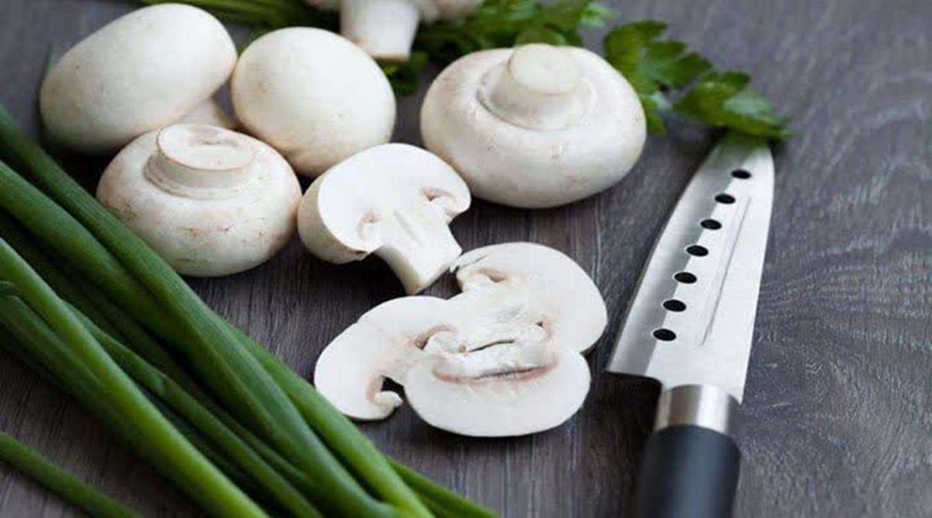 قارچ خوراکی 